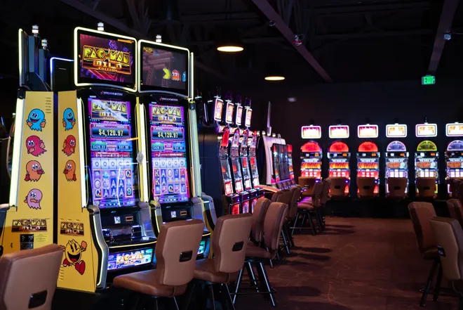 Slot Variety Expanding Entertainment Choices across Digital Casino Game Collections